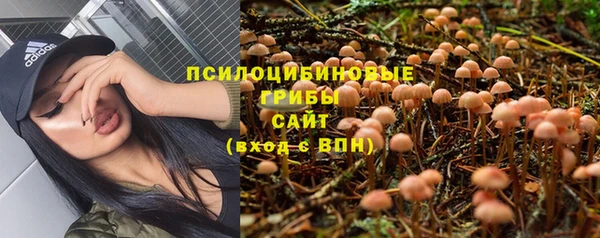 бошки Заводоуковск
