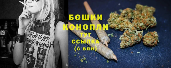 бошки Заводоуковск